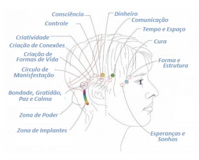 Mapa ilustrativo com os 32 pontos utilizados em Barras de Access na cabeça